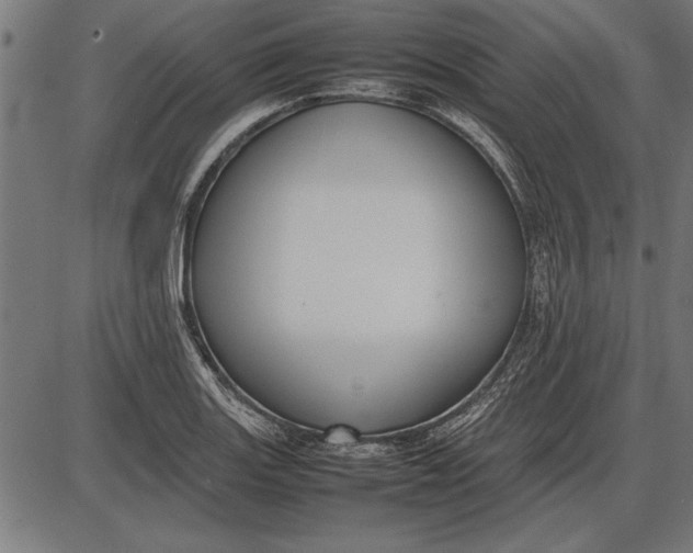 X0000086081131200704091254