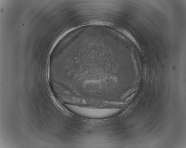 X0000086081132200704091254