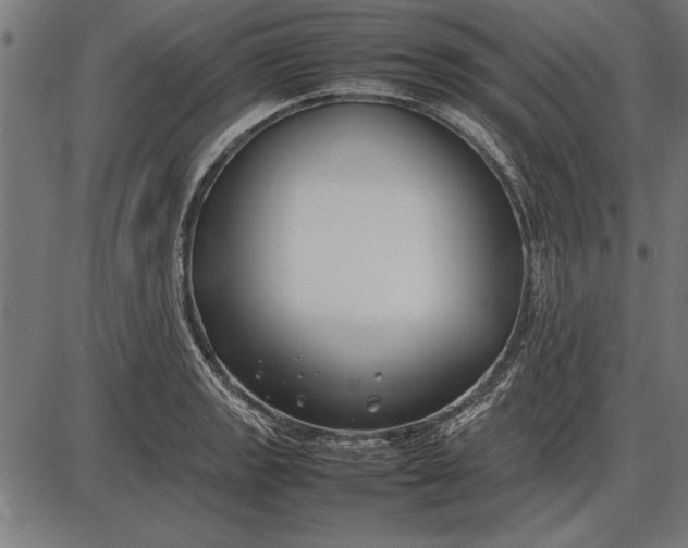 X0000086081133200704091254