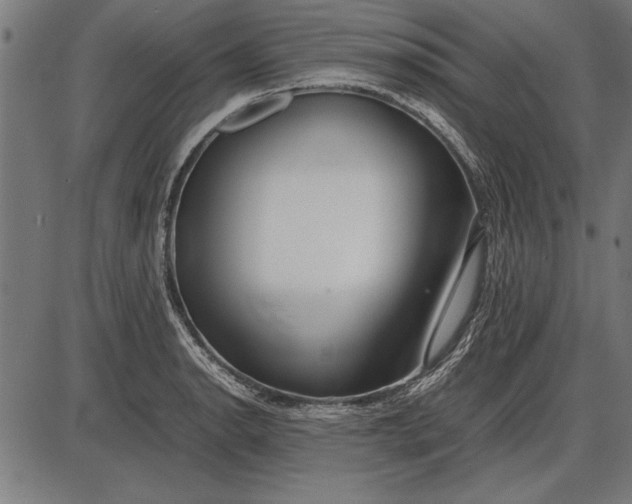 X0000086081134200704091254