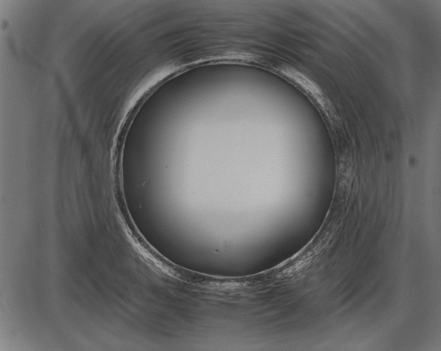 X0000086081135200704091254