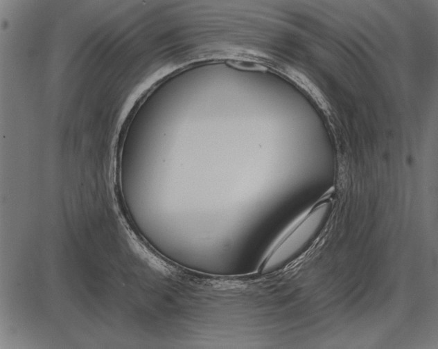 X0000086081136200704091254