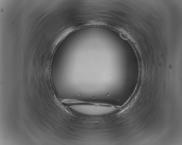 X0000086081137200704091254