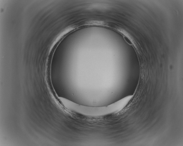 X0000086081139200704091254