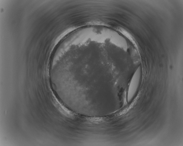 X0000086081141200704091254