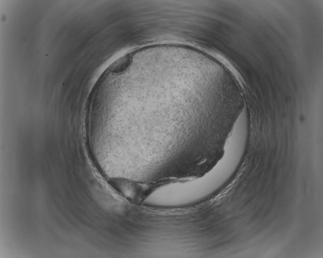 X0000086081142200704091254