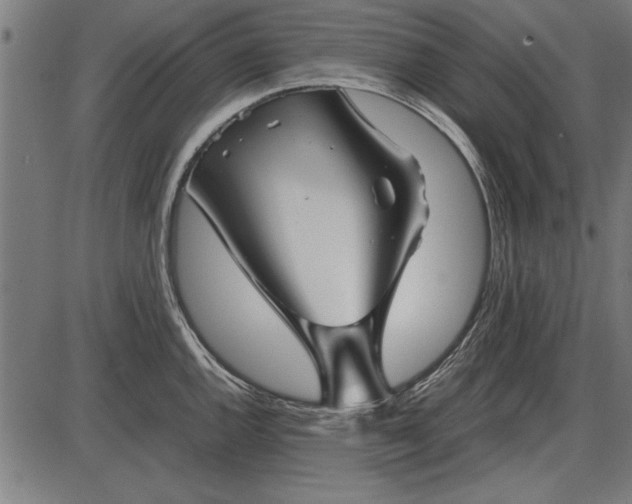 X0000086081144200704091254