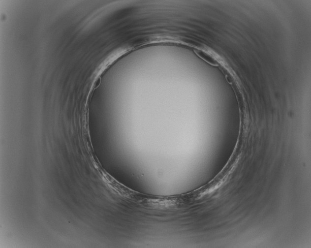 X0000086081145200704091254