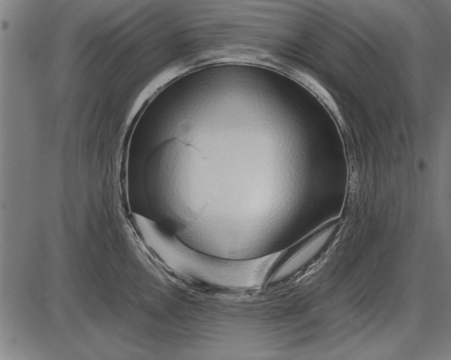 X0000086081146200704091254