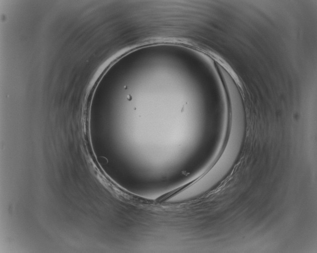 X0000086081148200704091254