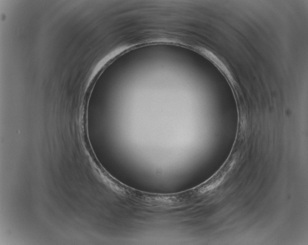 X0000086081149200704091254