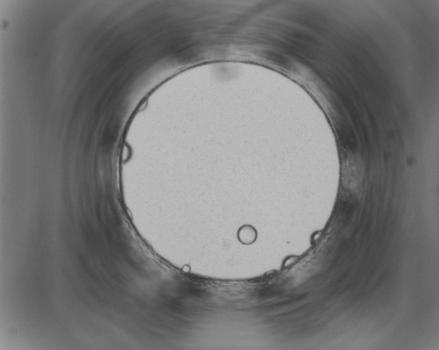 X0000086081150200704091254