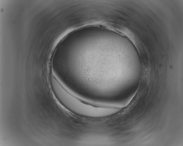 X0000086081151200704091254