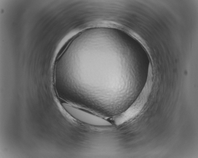 X0000086081152200704091254