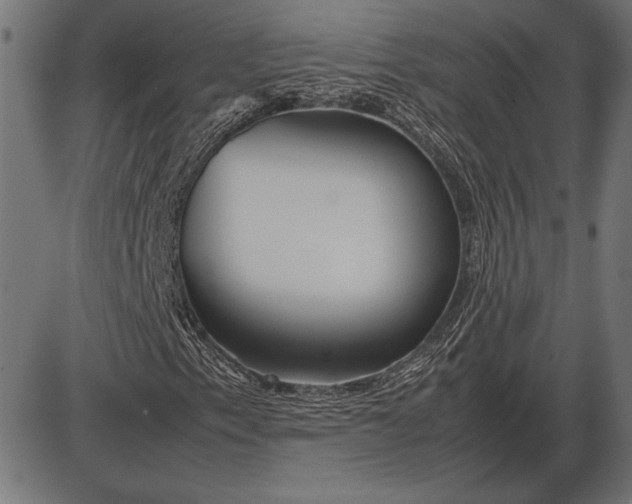 X0000086081153200704091254