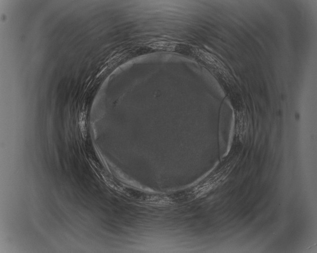 X0000086081154200704091254