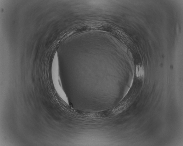 X0000086081155200704091254