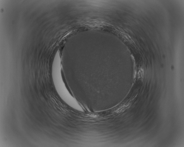 X0000086081156200704091254