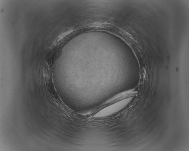 X0000086081158200704091254