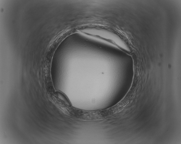 X0000086081159200704091253