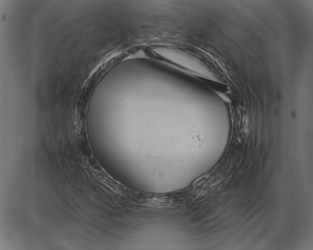 X0000086081160200704091253