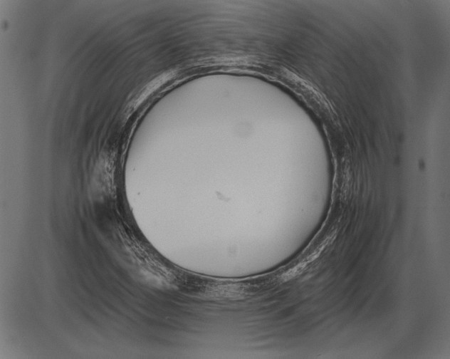 X0000086081162200704091253