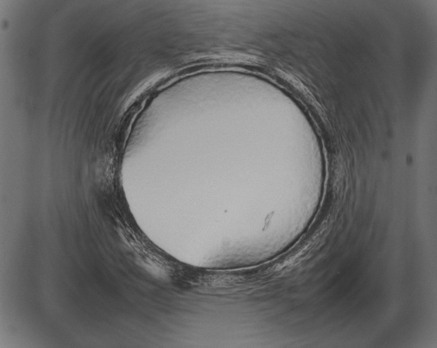 X0000086081163200704091253