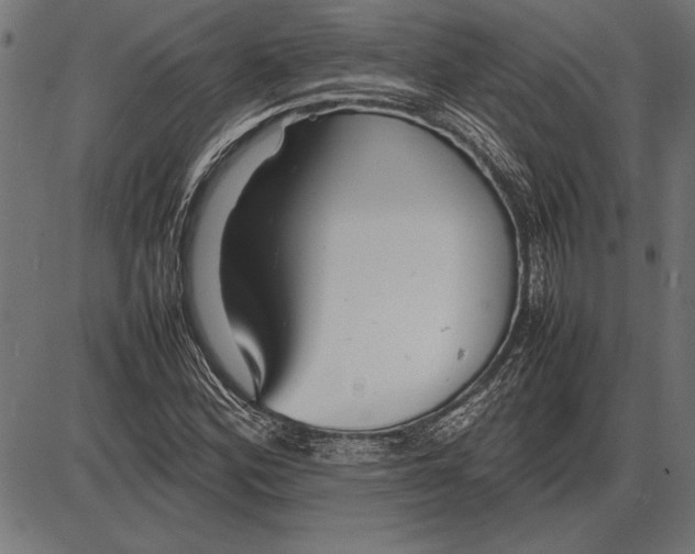 X0000086081164200704091253