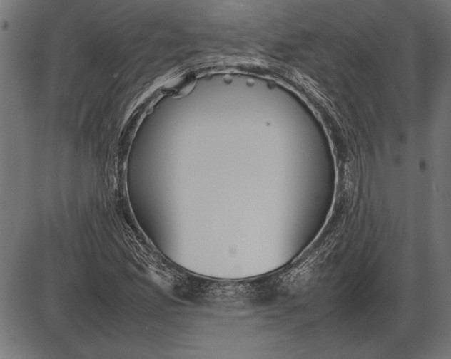 X0000086081165200704091253