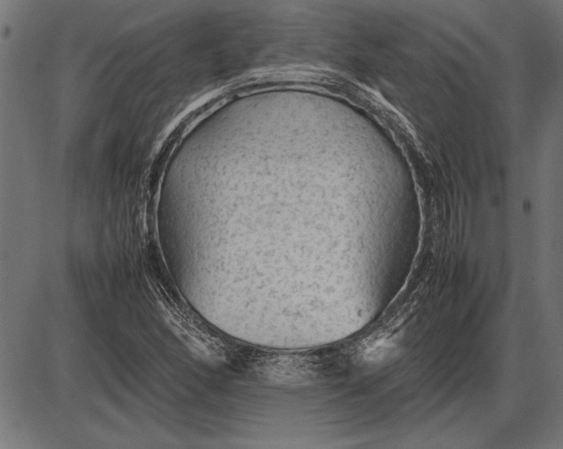 X0000086081166200704091253