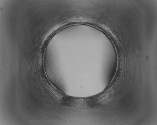 X0000086081167200704091253