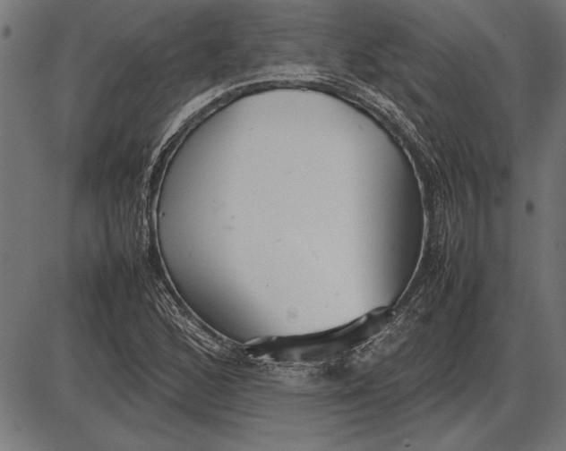 X0000086081168200704091253