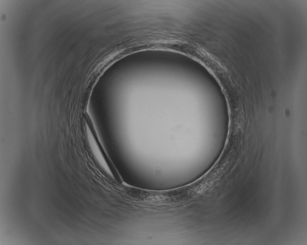 X0000086081169200704091253