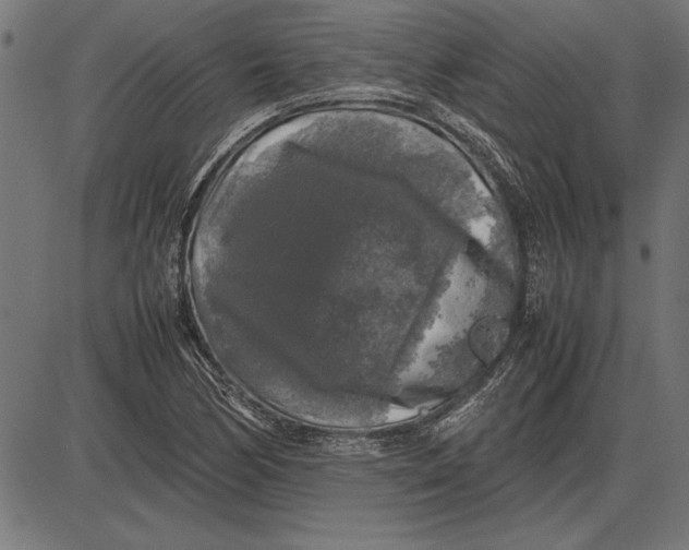 X0000086081170200704091253