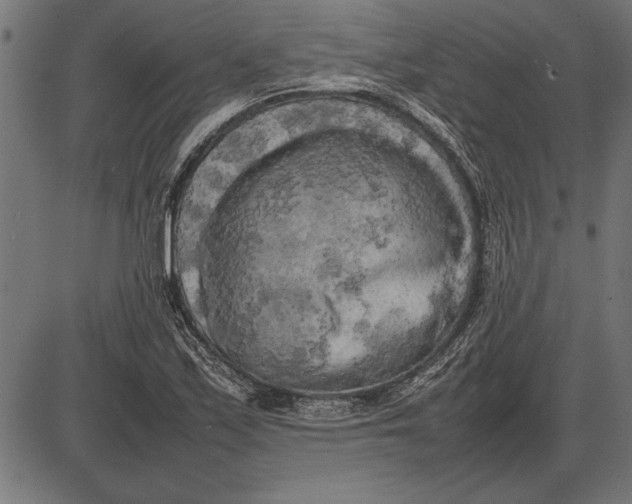 X0000086081171200704091253