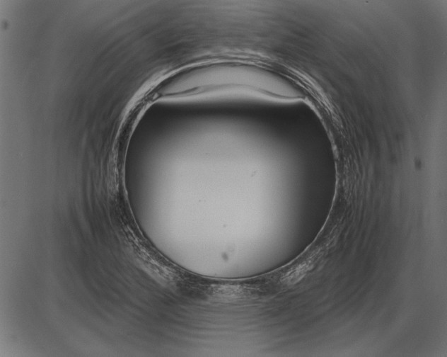 X0000086081172200704091253