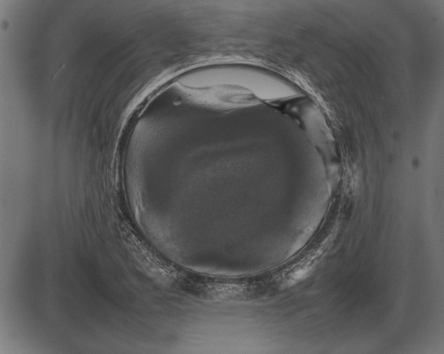 X0000086081173200704091253