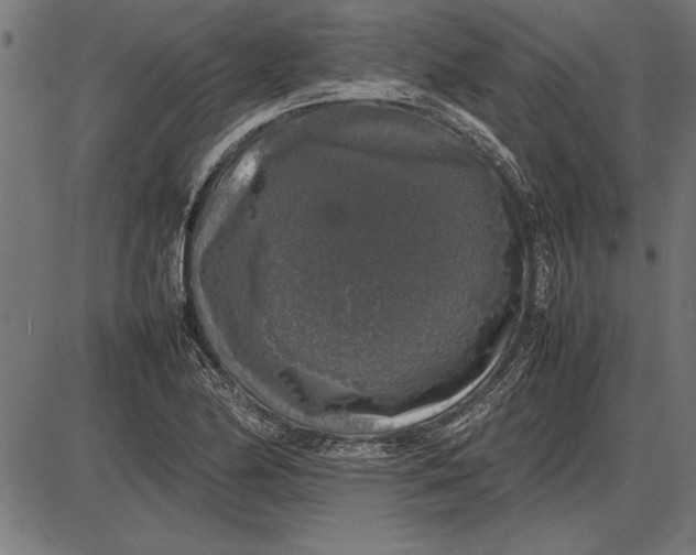 X0000086081174200704091253