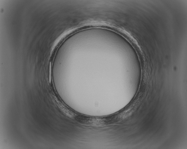 X0000086081175200704091253