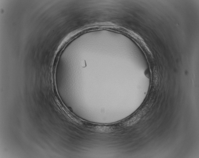 X0000086081176200704091253