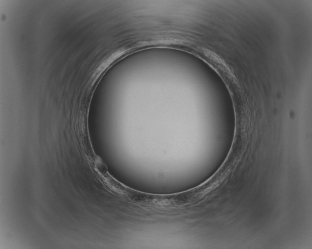 X0000086081177200704091253