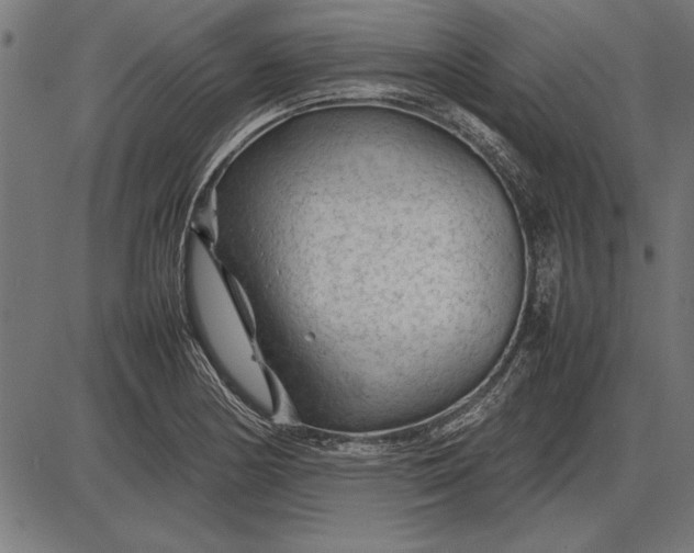 X0000086081178200704091253