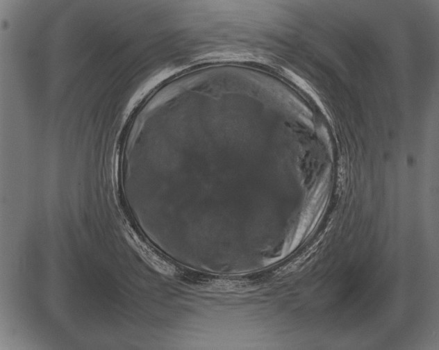 X0000086081179200704091253