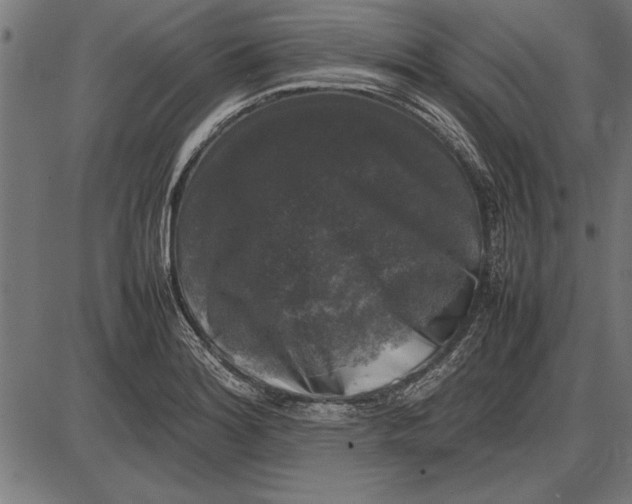 X0000086081180200704091253