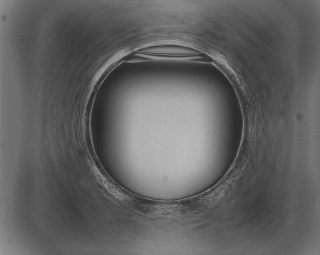 X0000086081181200704091253