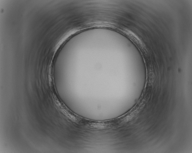 X0000086081182200704091253