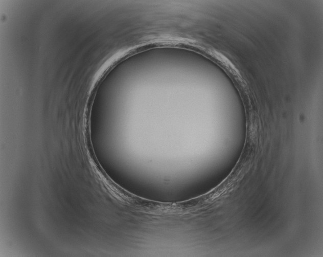 X0000086081183200704091253