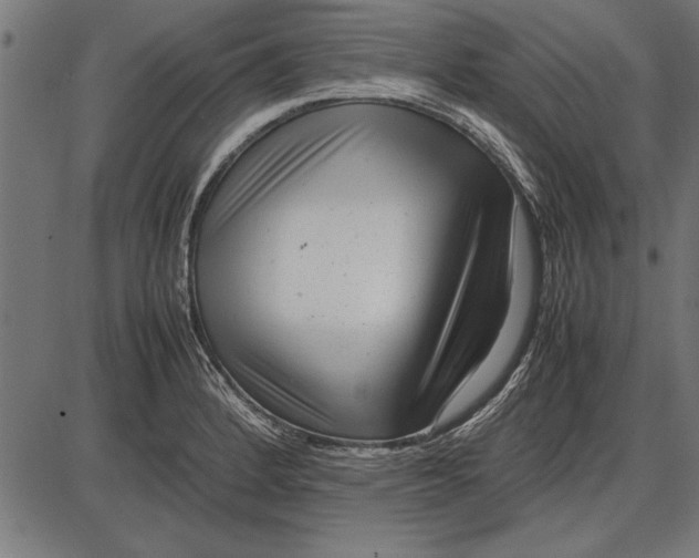 X0000086081184200704091253