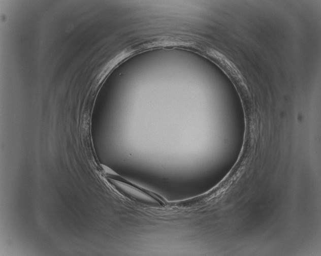 X0000086081185200704091253