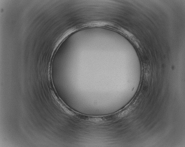 X0000086081186200704091253